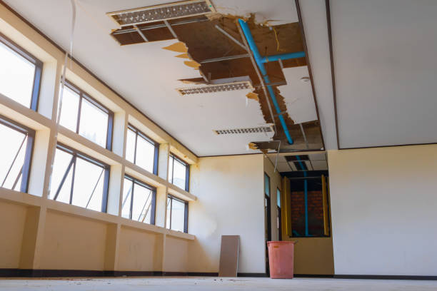 Best Local water damage restoration  in Southaven, MS