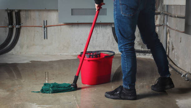 Best Water damage repair service  in Southaven, MS