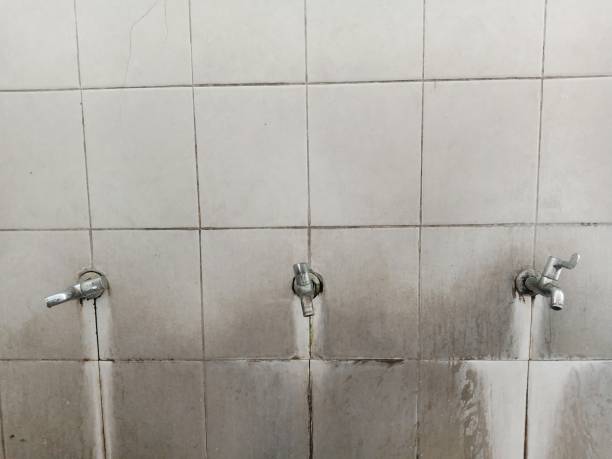 Reliable Southaven, MS Water damage restoration Solutions